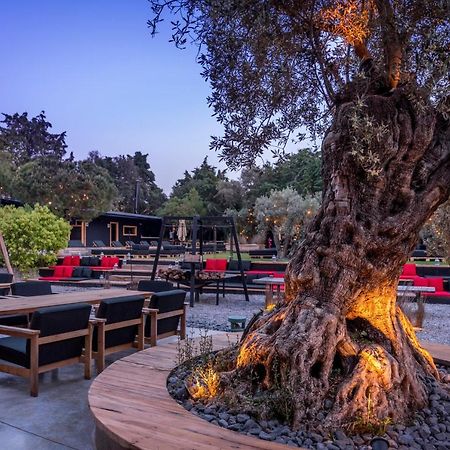 Warehouse By The Stay (Adults Only) Alaçatı Luaran gambar
