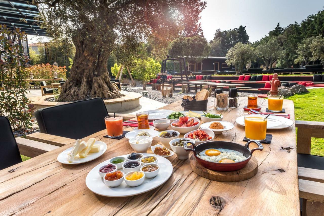 Warehouse By The Stay (Adults Only) Alaçatı Luaran gambar